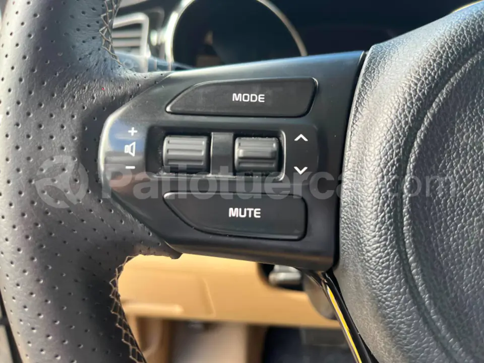 Foto 30 de Kia Carnival