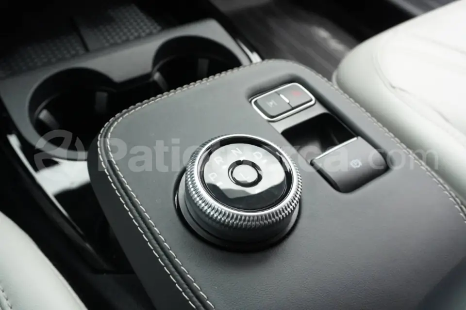 Foto 16 de Ford MUSTANG MARCH-E PREMIUM