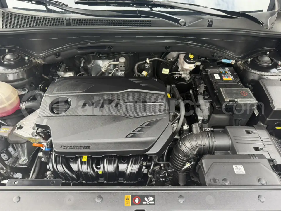 Foto 25 de Hyundai Santa Fe 4x2