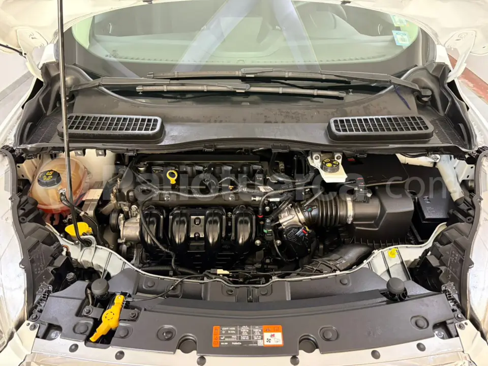 Foto 28 de Ford Escape S