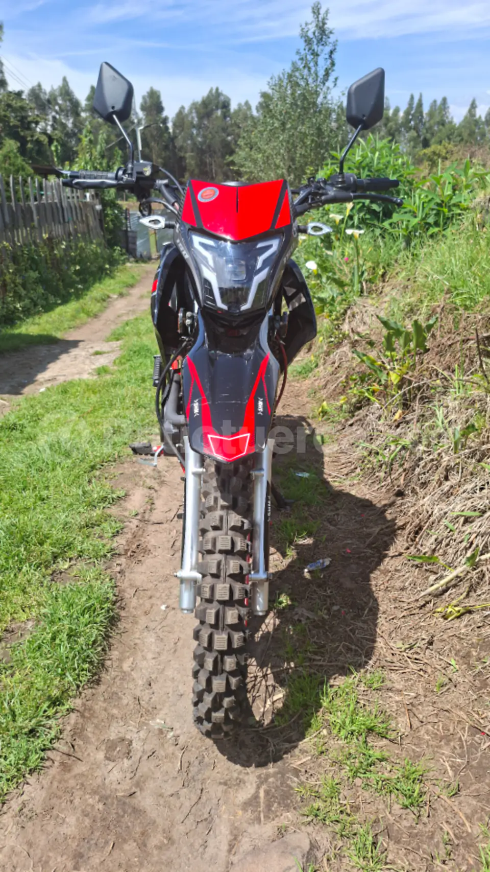 Foto 3 de Shineray THOR200