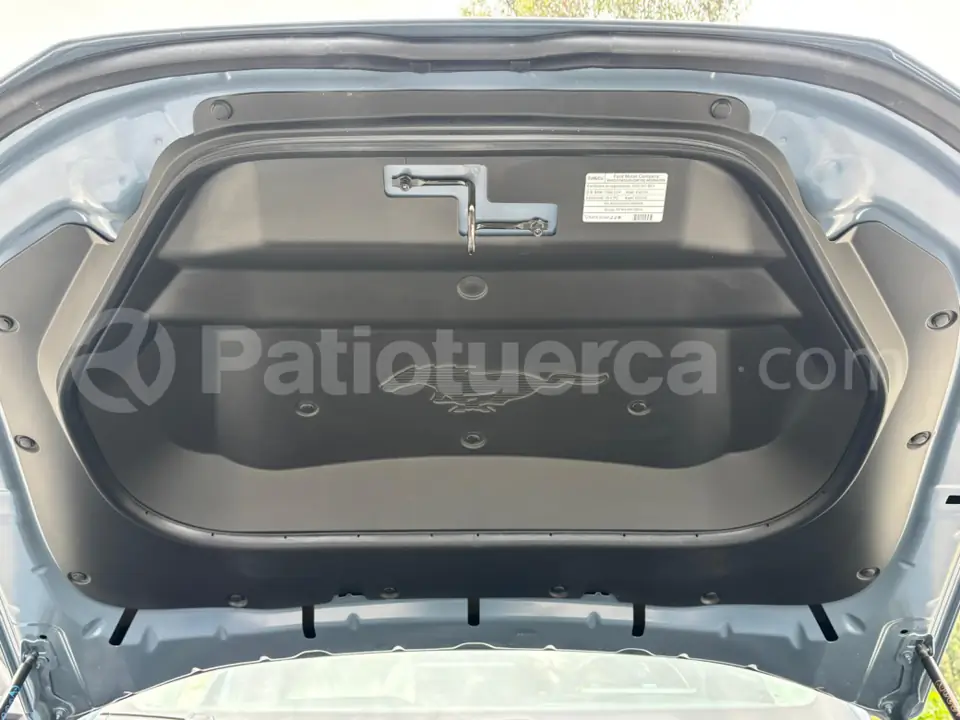 Foto 19 de Ford MUSTANG MARCH-E