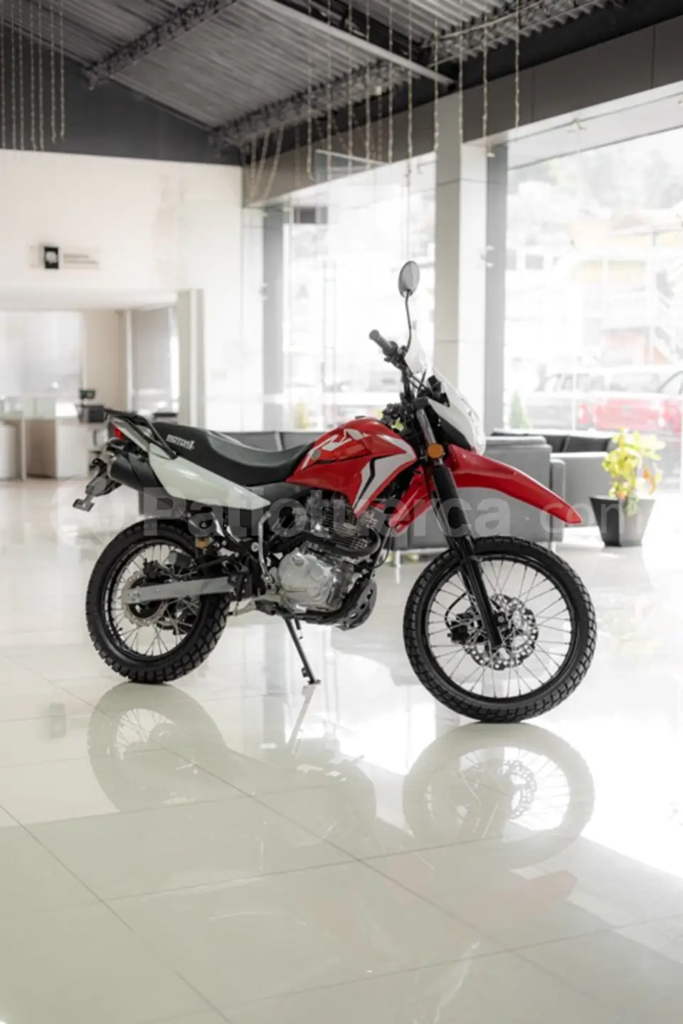 Foto 4 de MOTOR 1 TRAIL 250