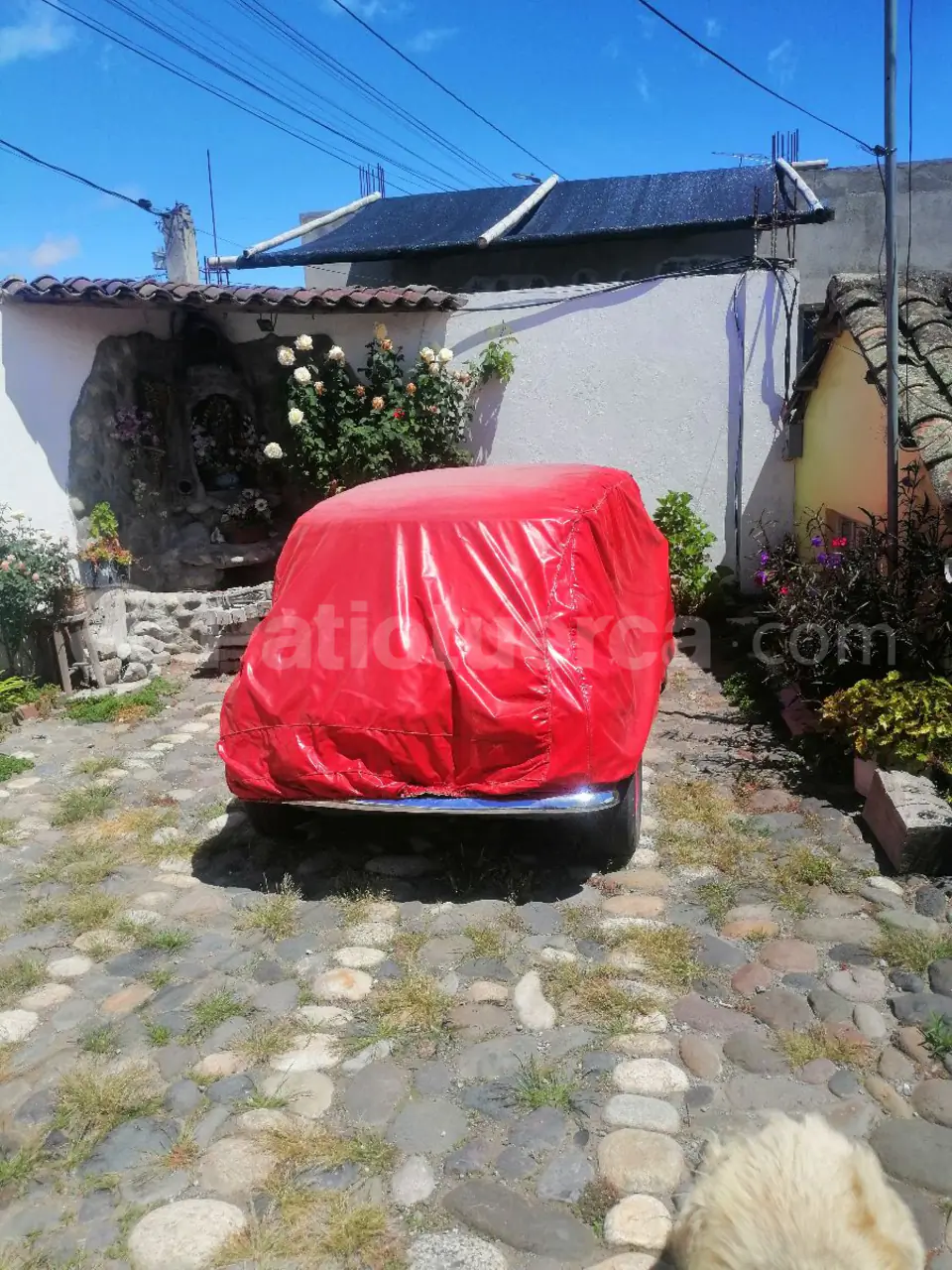 Foto 5 de AUSTIN Mini 1000