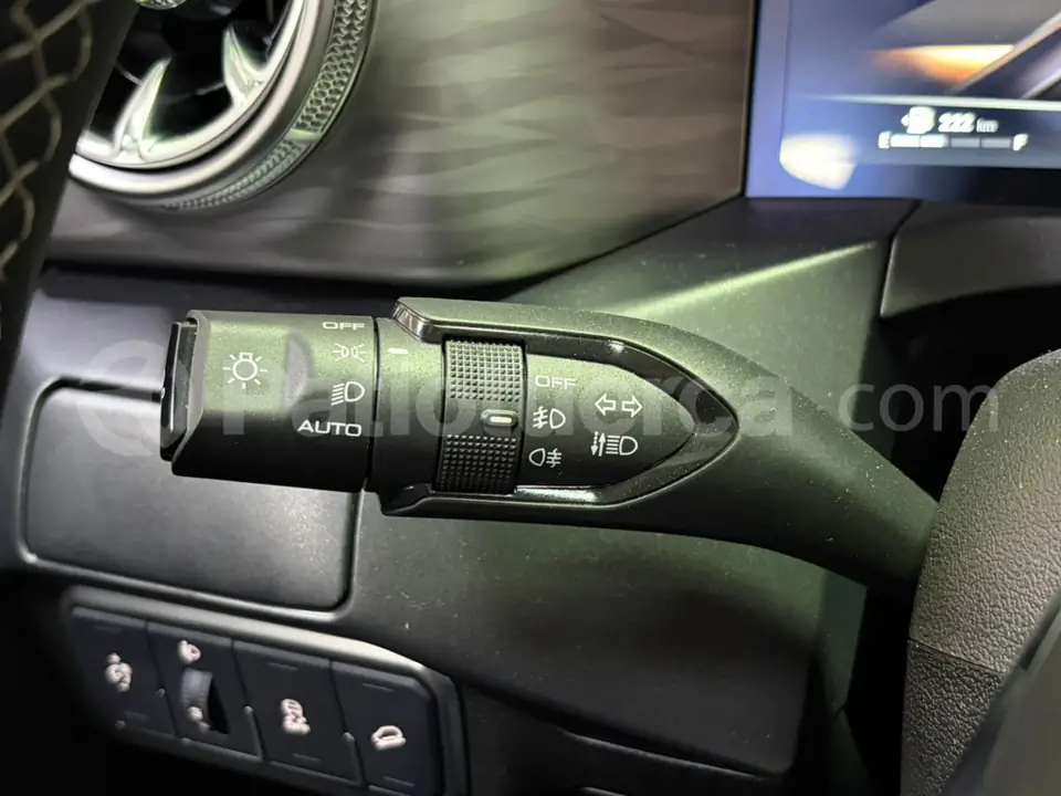 Foto 22 de GWM Tank 300