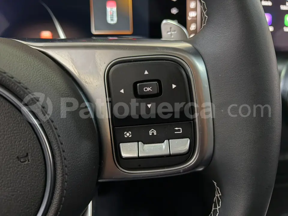 Foto 27 de GWM Tank 300