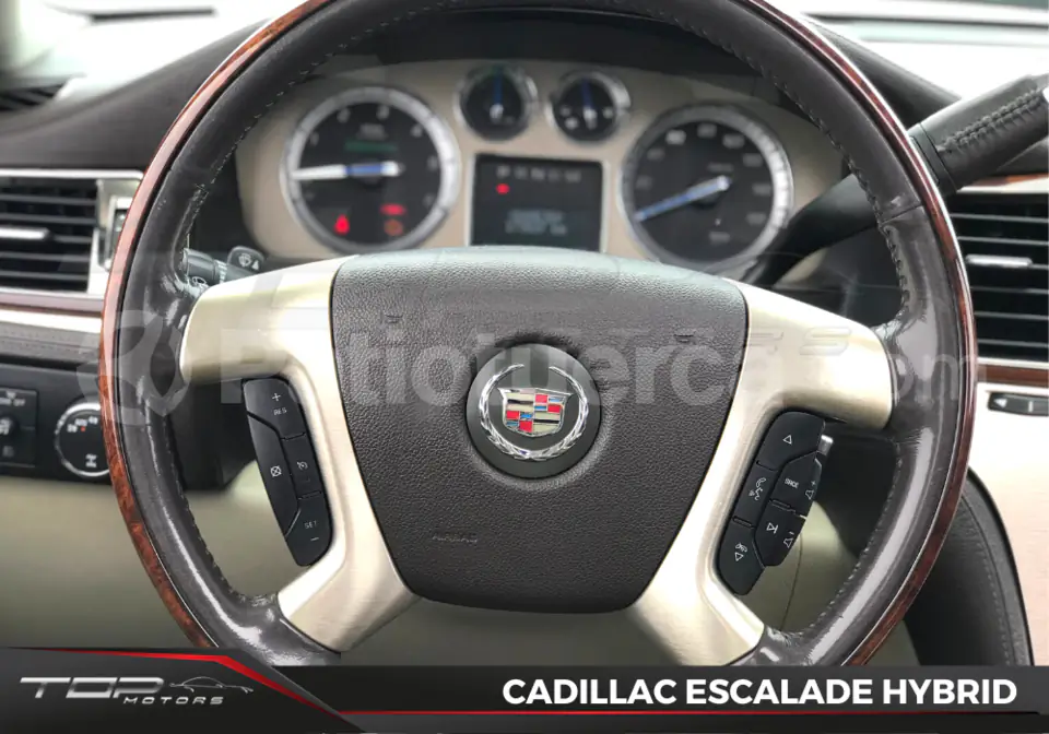 Foto 12 de Cadillac Escalade
