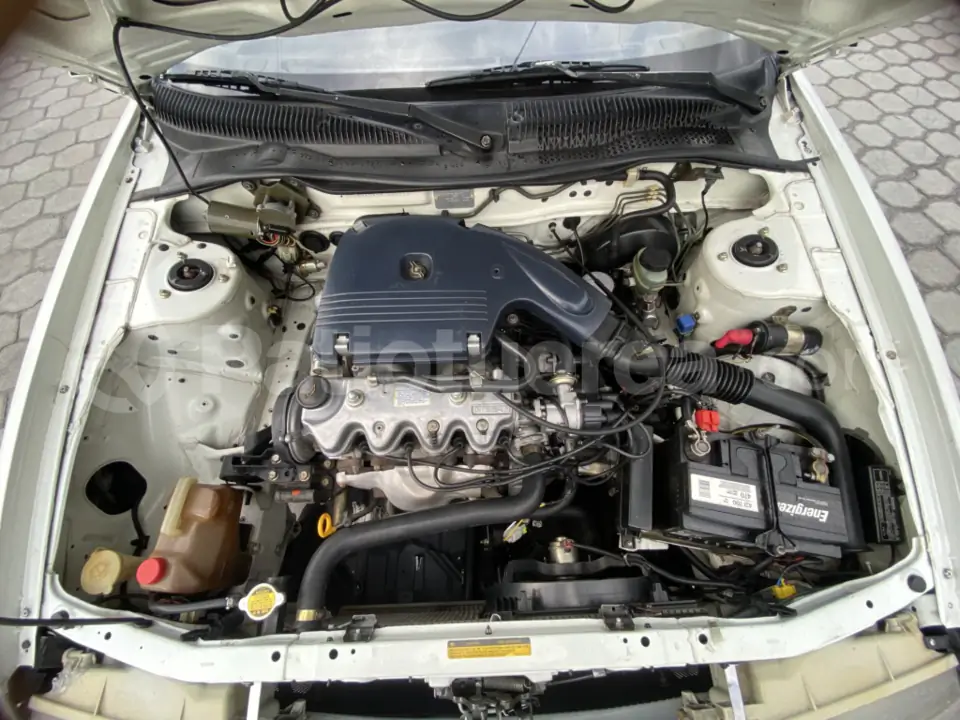 Foto 15 de Nissan Sentra B13