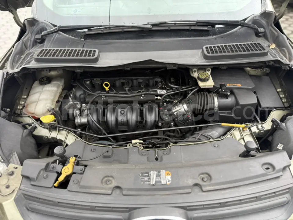 Foto 11 de Ford Escape