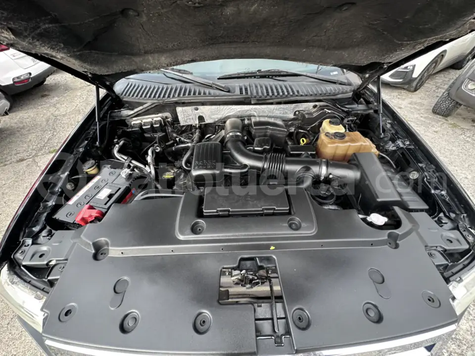 Foto 16 de Ford Expedition Eddie Bauer