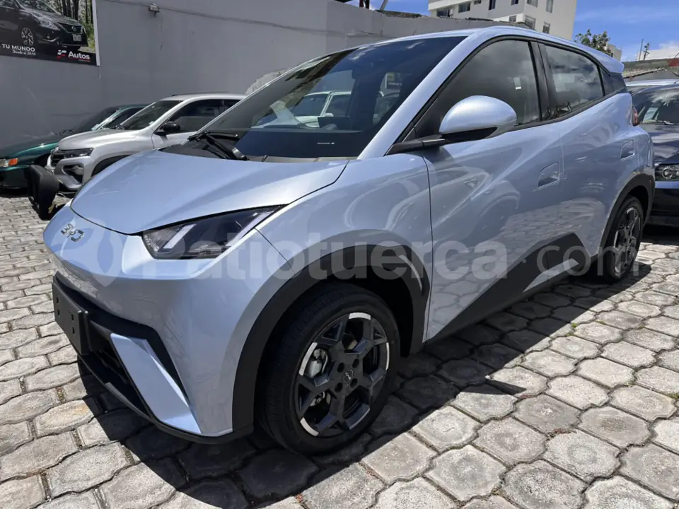 Foto 1 de BYD Seagull