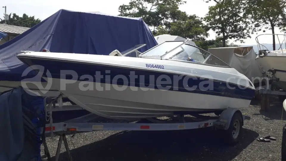 Foto 5 de Bayliner 175