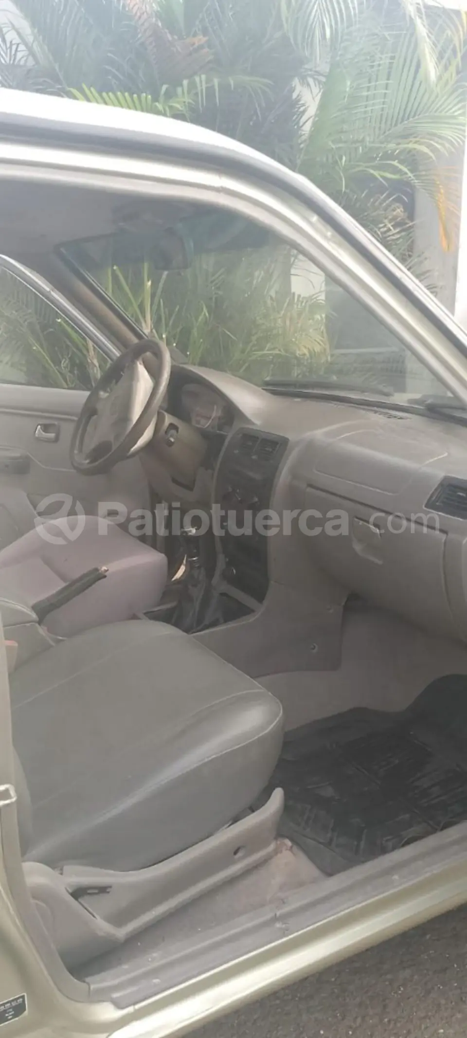 Foto 7 de Great Wall Deer