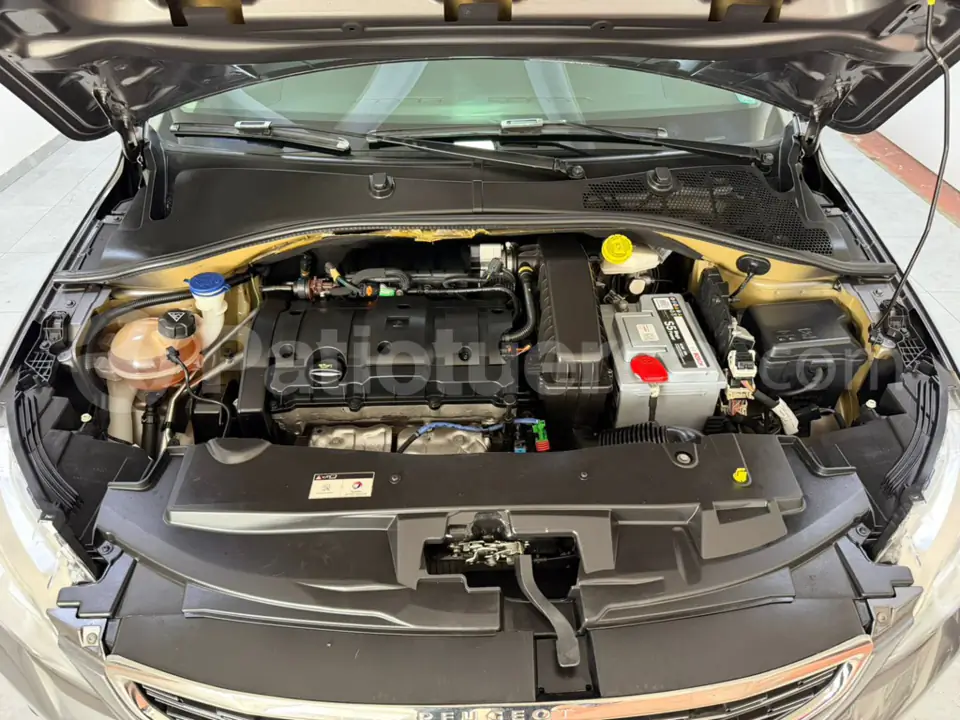 Foto 28 de Peugeot 301