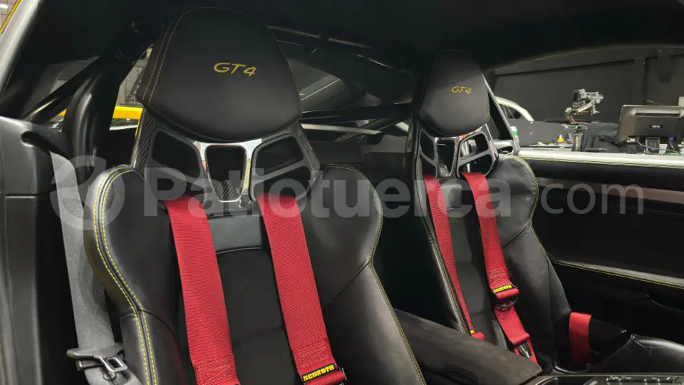 Foto 10 de Porsche Cayman