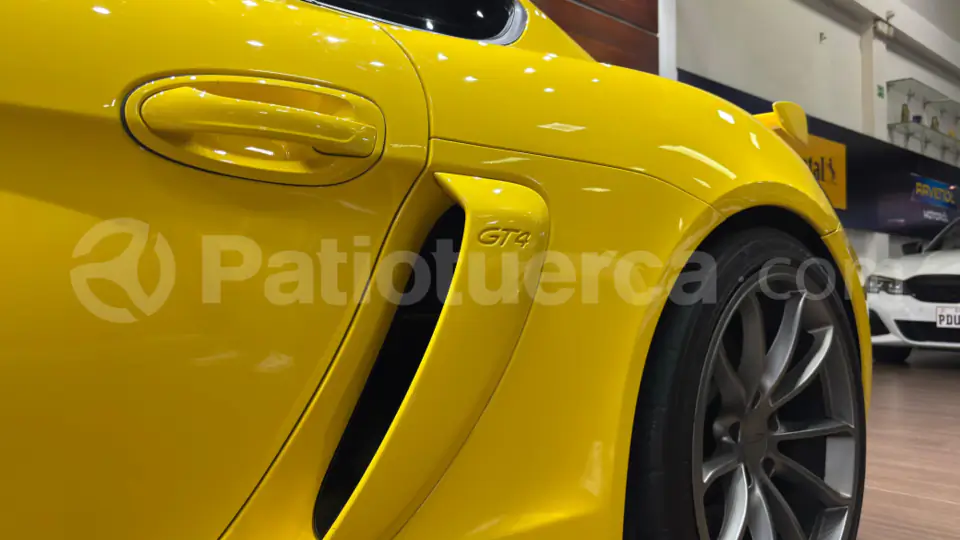 Foto 13 de Porsche Cayman