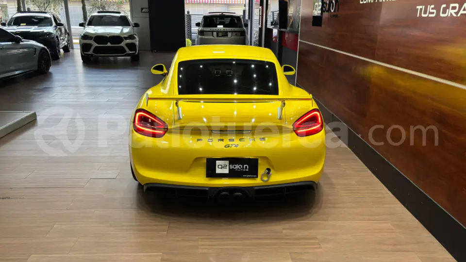 Foto 14 de Porsche Cayman