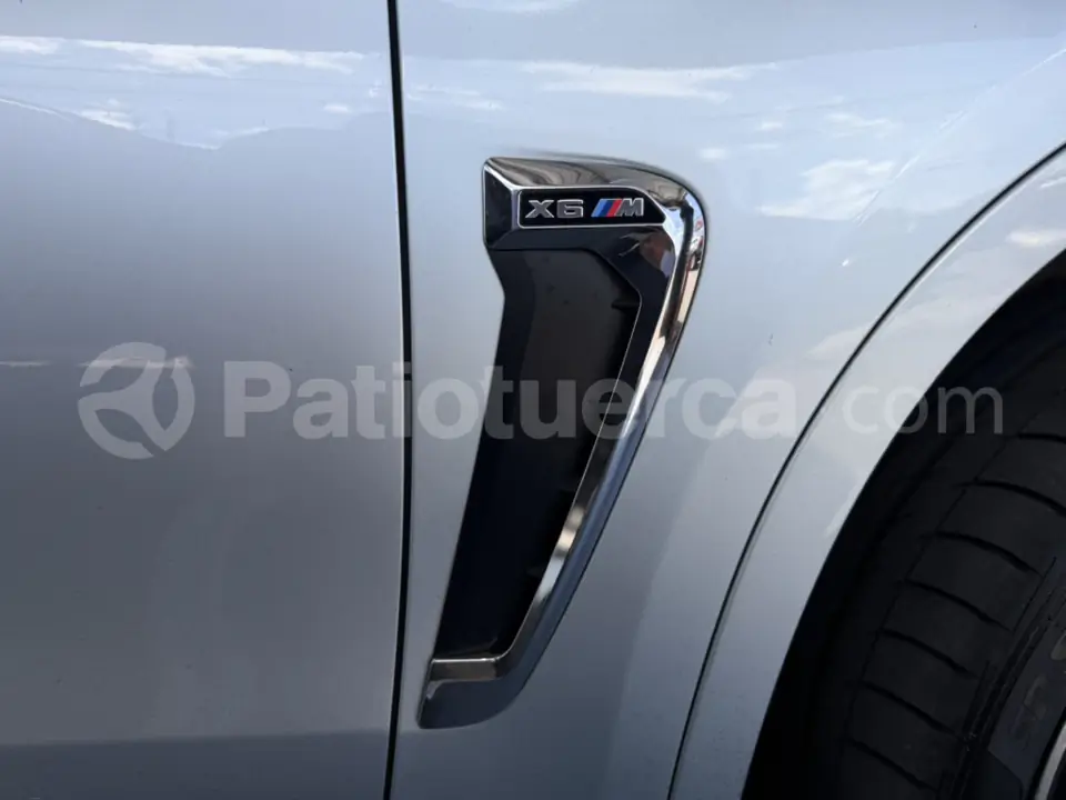 Foto 11 de BMW X6 M