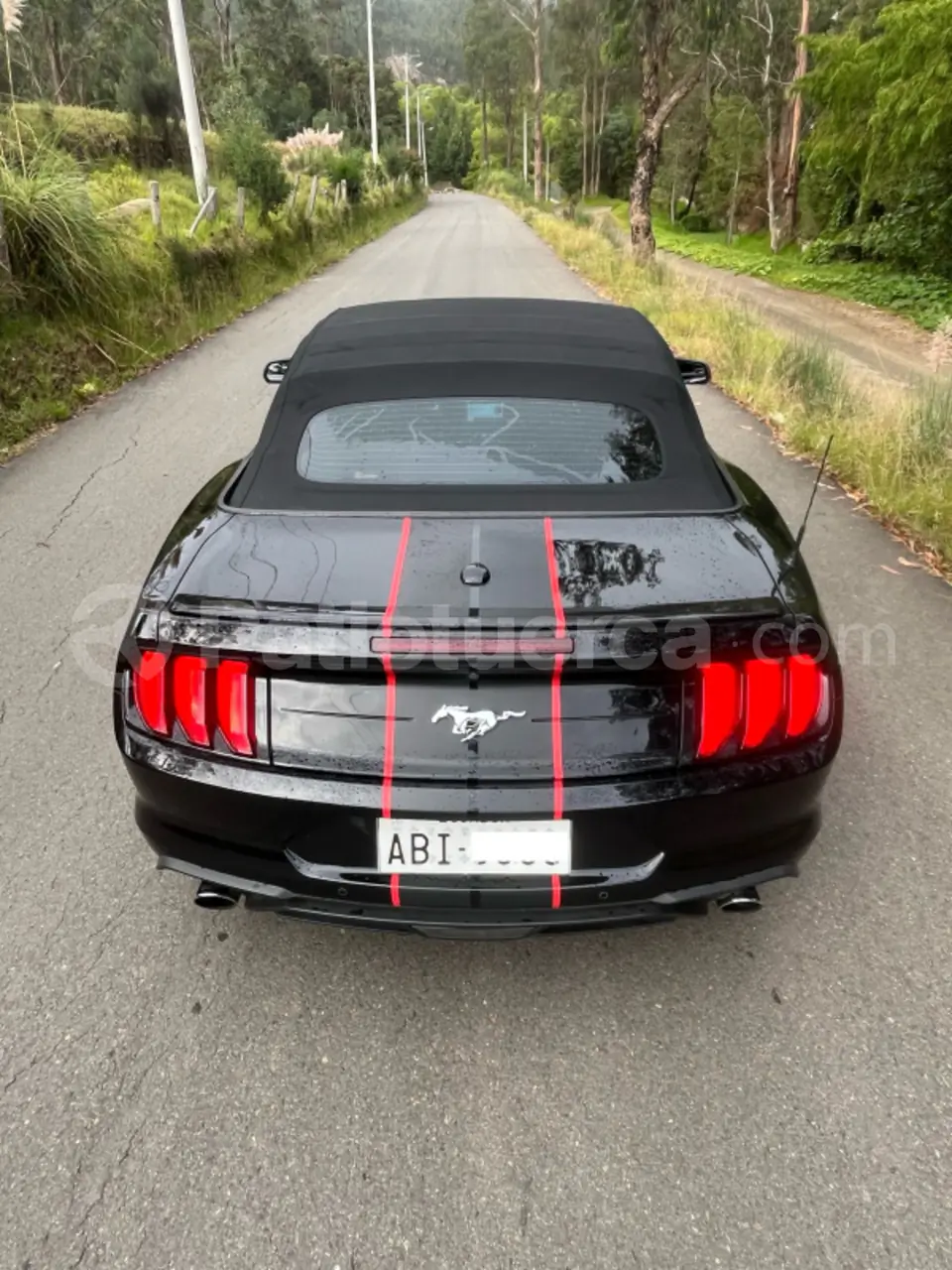 Foto 4 de Ford Mustang