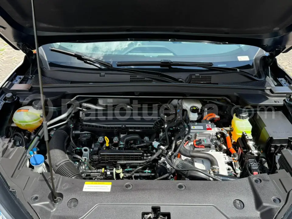 Foto 6 de DongFeng MAGE