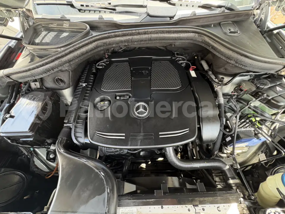 Foto 5 de Mercedes Benz ML 350
