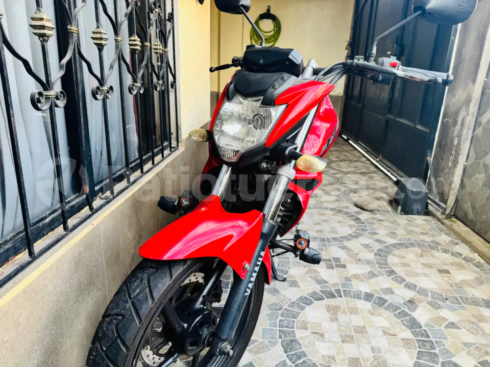 Foto 5 de Yamaha FZN150D