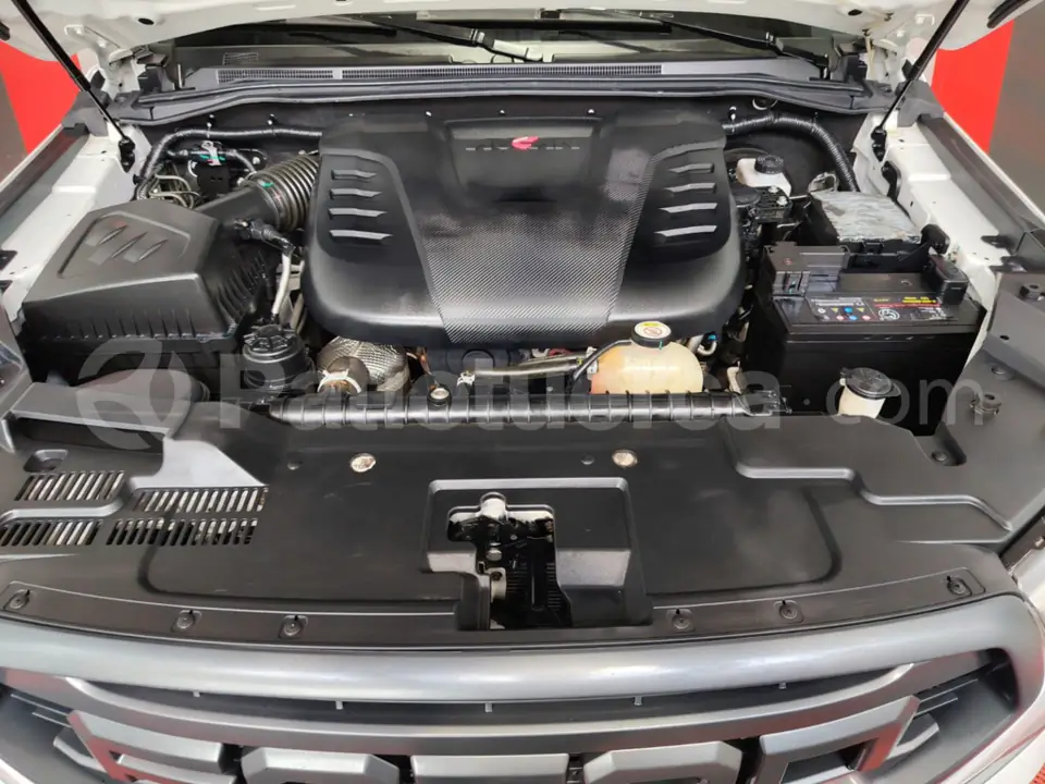 Foto 6 de Foton TUNLAND  G