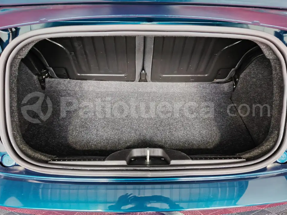 Foto 26 de Fiat 500 LOUNGE