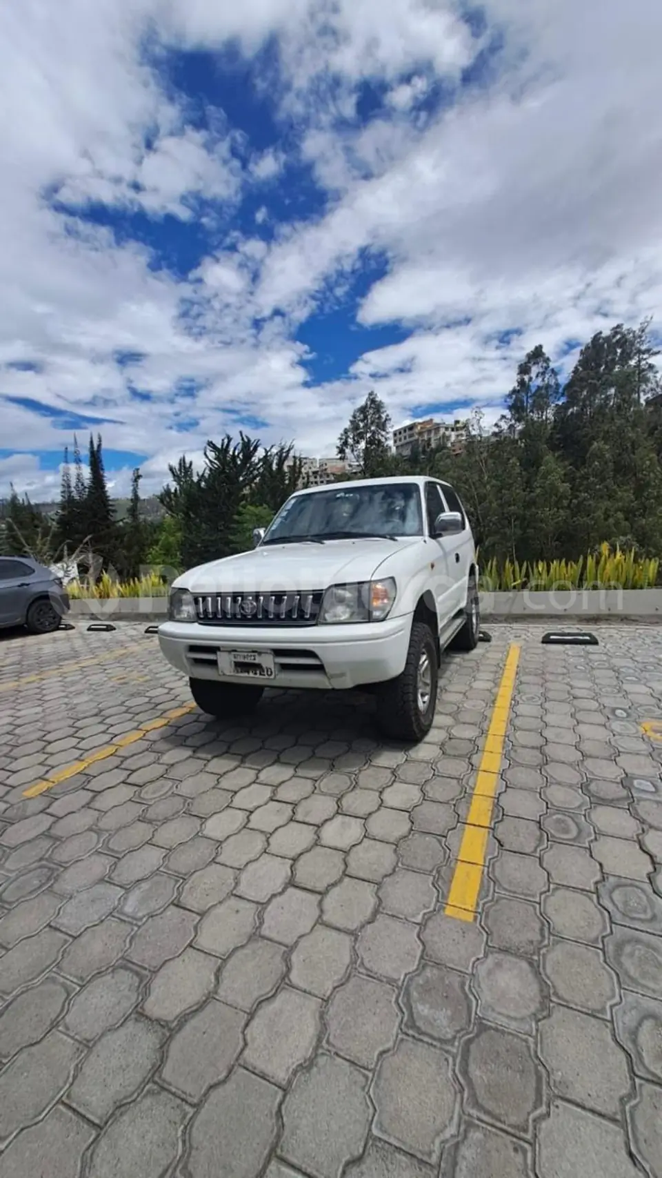 Foto 1 de Toyota Prado 3P