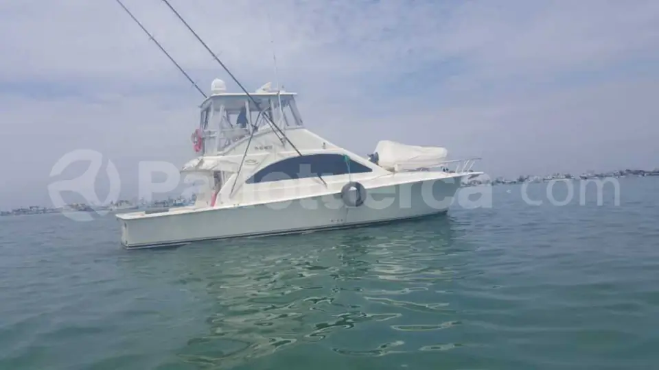 Foto 1 de Ocean Yacht 43 Super Sport