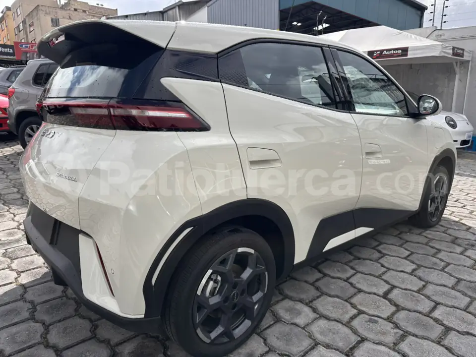 Foto 4 de BYD Seagull