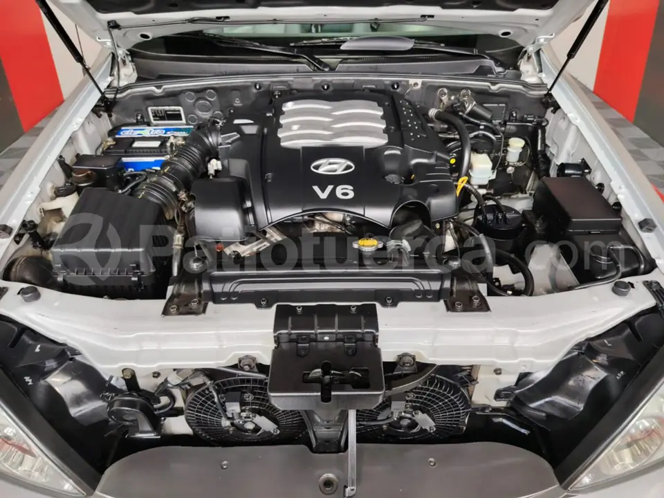 Foto 9 de Hyundai Terracan V6 3.5