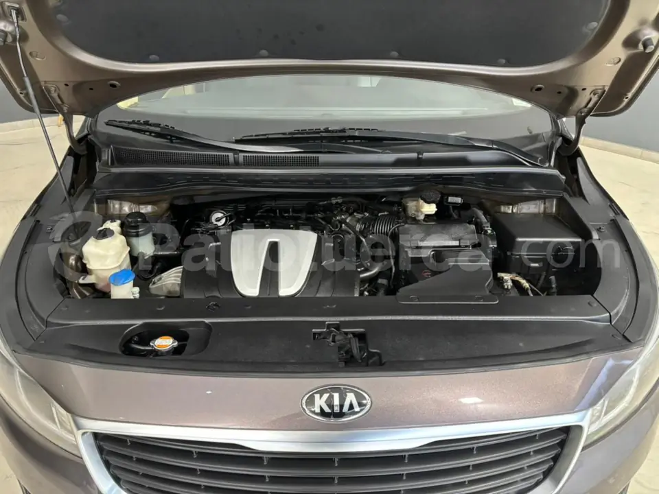 Foto 8 de Kia Carnival