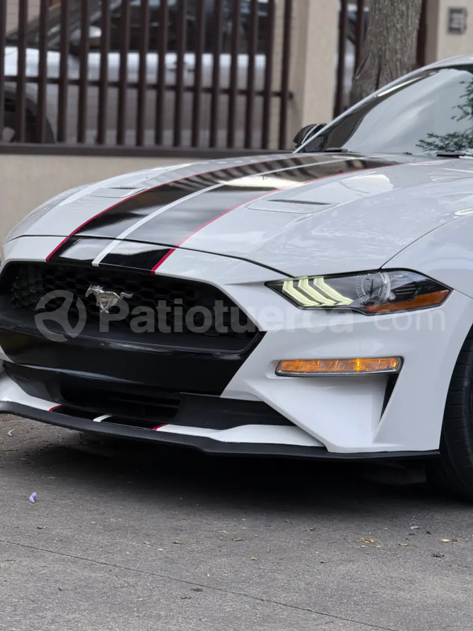 Foto 7 de Ford Mustang