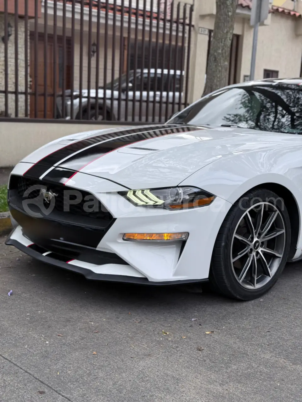 Foto 8 de Ford Mustang