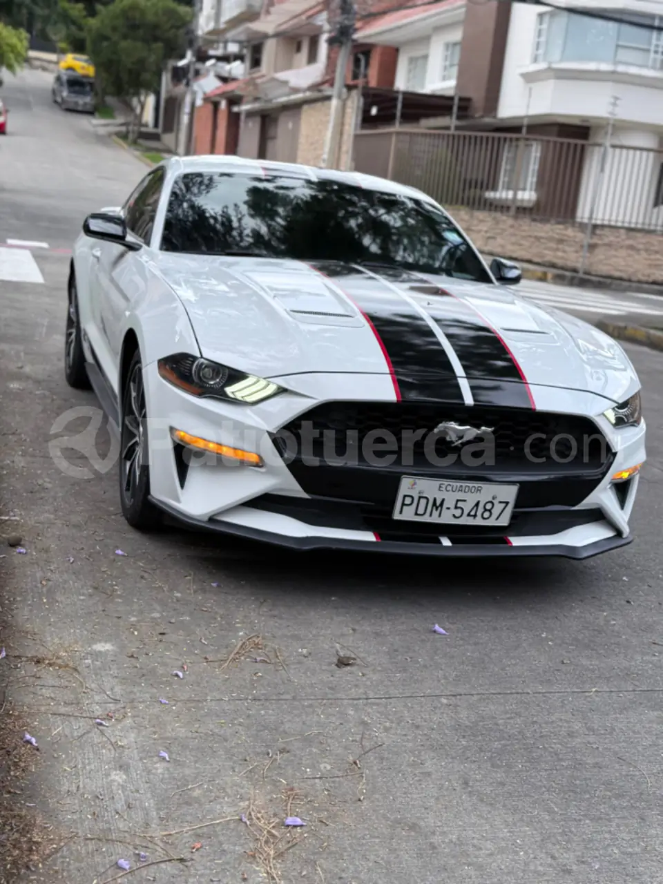 Foto 9 de Ford Mustang