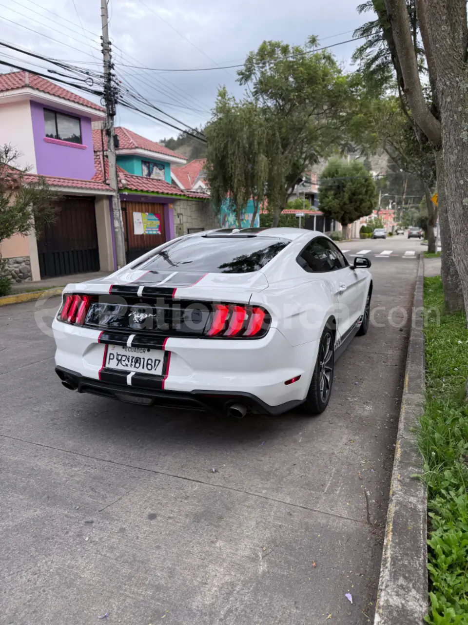 Foto 13 de Ford Mustang