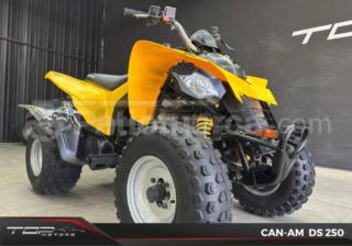 Can-Am DS 250