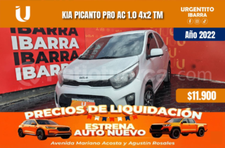 Kia picanto pro