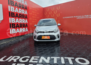 Kia picanto pro