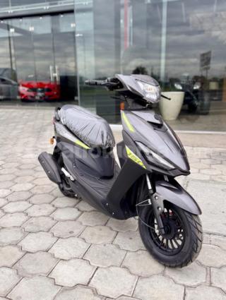Daytona Dynamic Pro