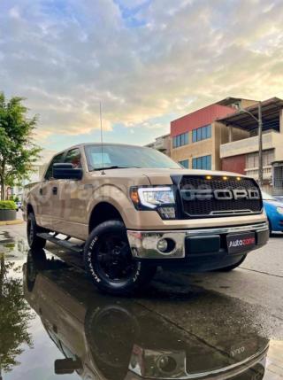 Ford F150 DC 4X2