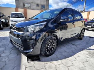 Kia picanto pro