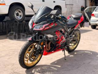 Factory Bike F300 DRAKON 2024