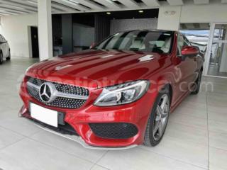 Mercedes Benz—™ C300 2017