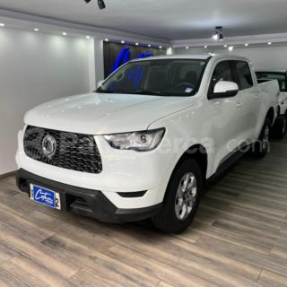 Great Wall POER 2023