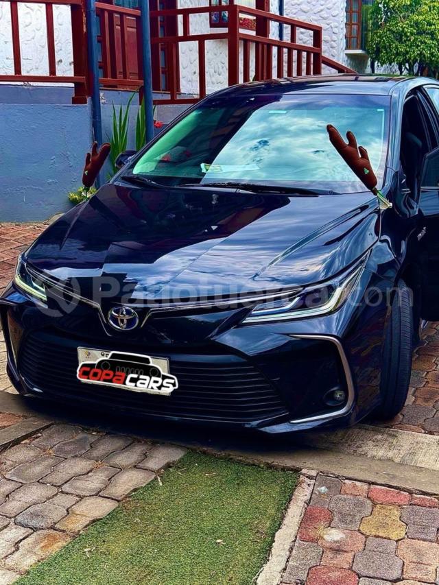 Toyota Corolla HV XEI 2023