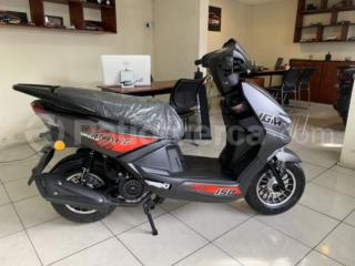 IGM Snake Urban 150