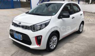 Kia PICANTO LX 2019