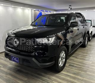 Great Wall POER